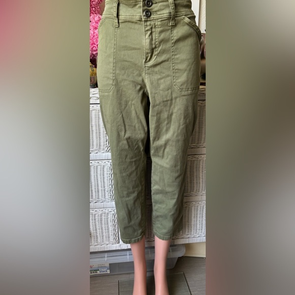 Torrid Cotton feel the fit pants in green color Size 18 - Picture 1 of 10